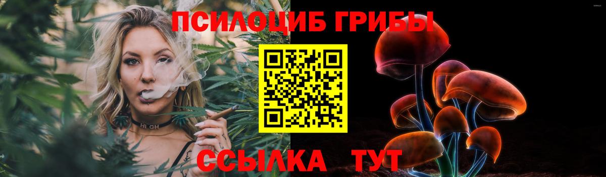 Псилоцибиновые грибы мухоморы Гудермес